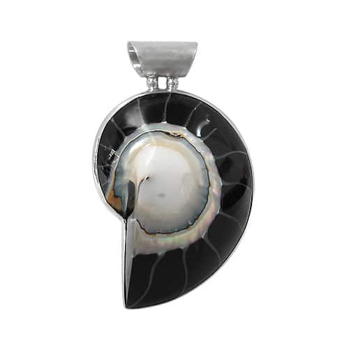 Black Nautilus Shell Sterling Silver Pendant