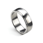 Brushed Stainless STEELX Band with Polished Edge - R333 Brushed Stainless STEELX Band with Polished Edge - R333