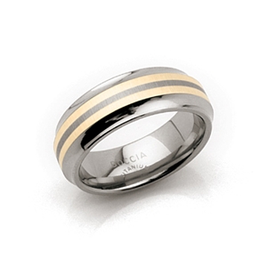 Boccia Titanium Hologram Band with 2 14kt Gold Lines - 111-01